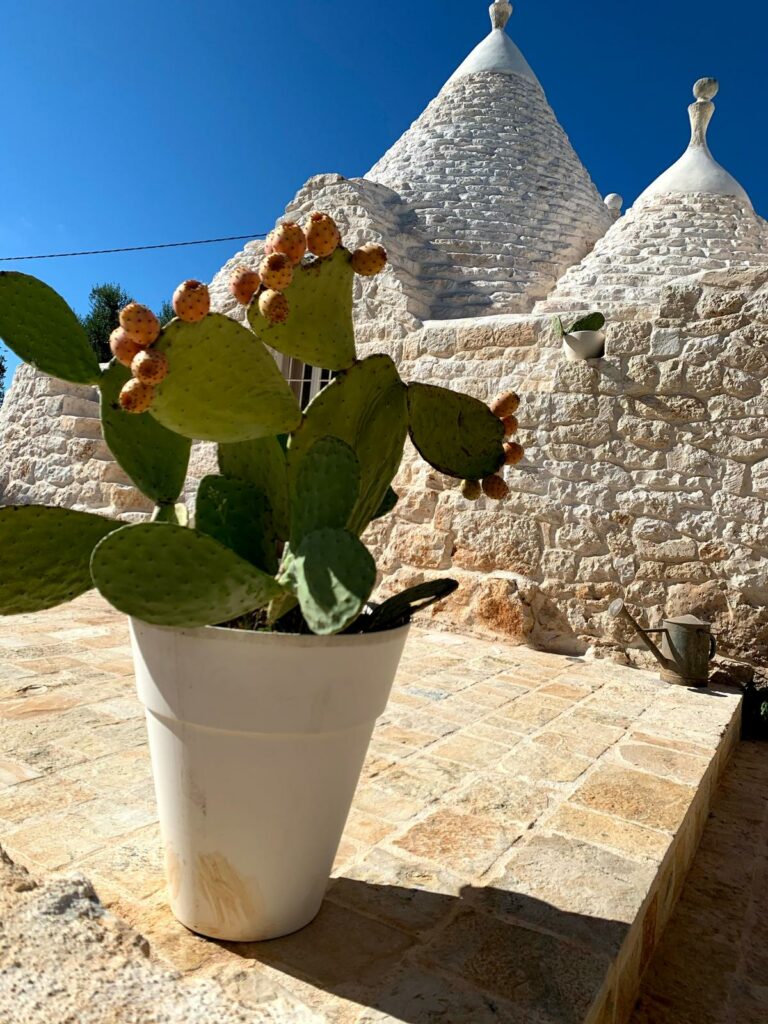 TRULLI ALBEROBELLO