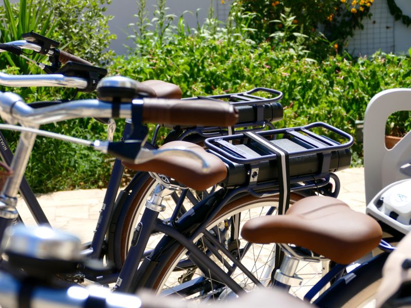 BICI ELETTRICHE FLOWING HOUSE