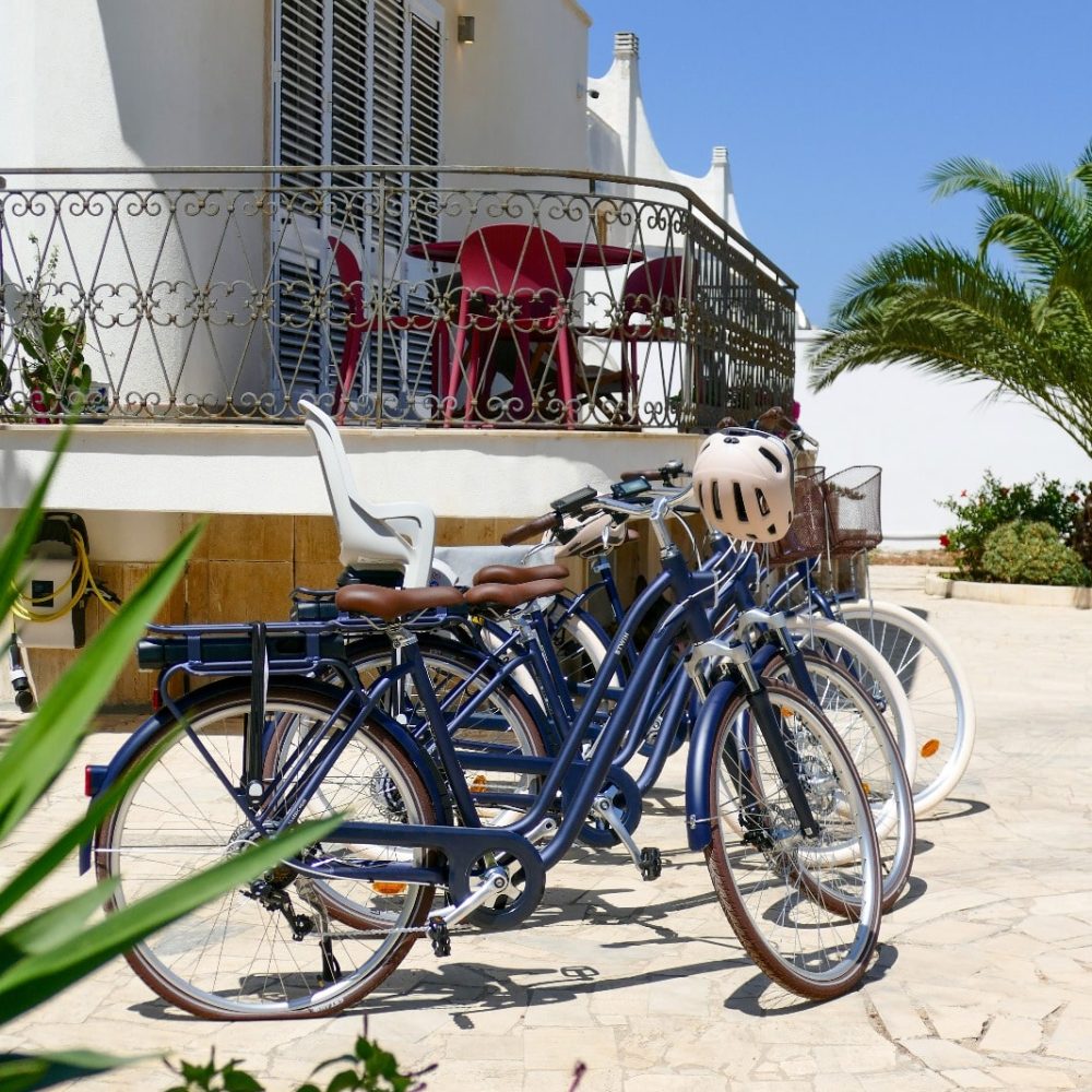 BICI ELETTRICHE FLOWING HOUSE